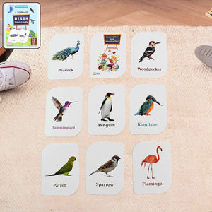 KidKraft Early Learner Educational Flashcards – 32 Birds