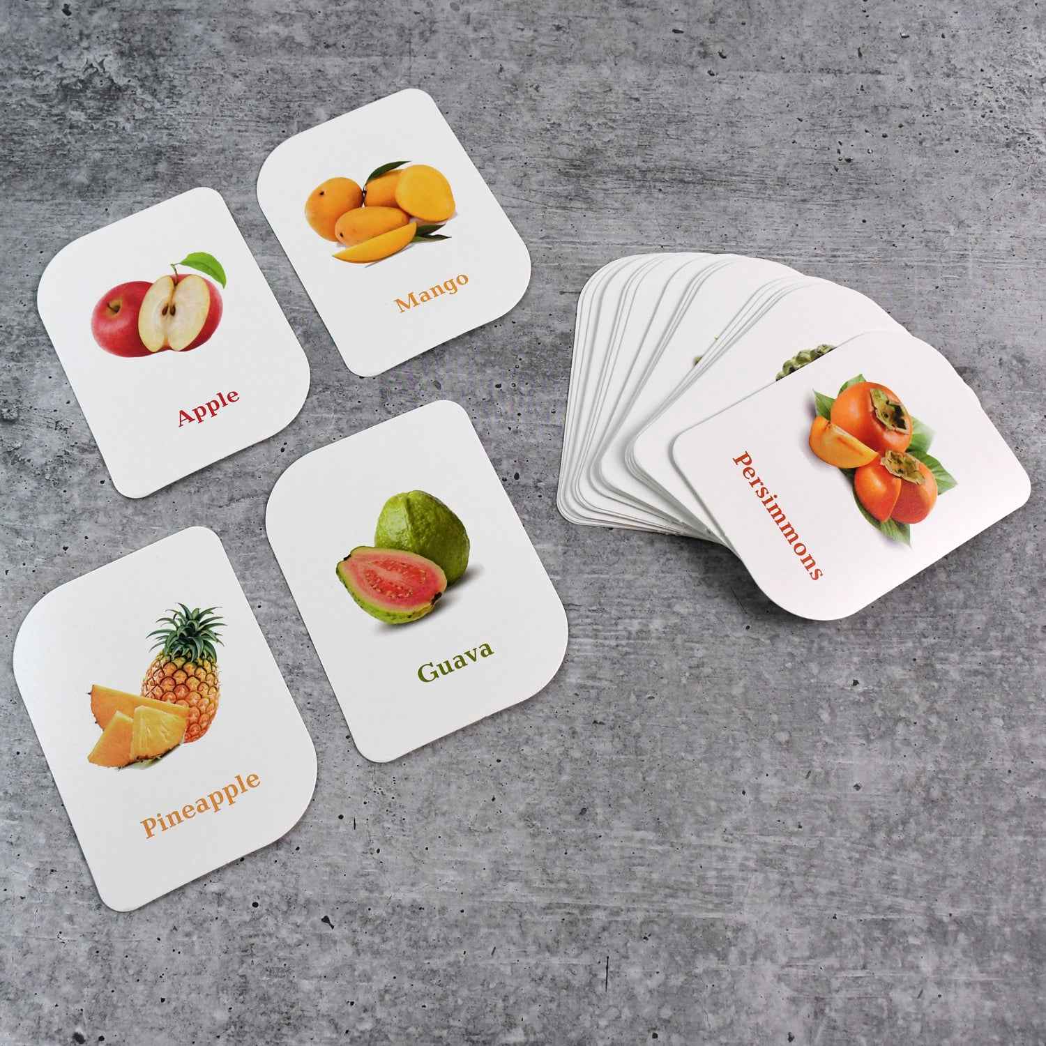 KidKraft Early Learner Educational Flashcards – 32 Birds