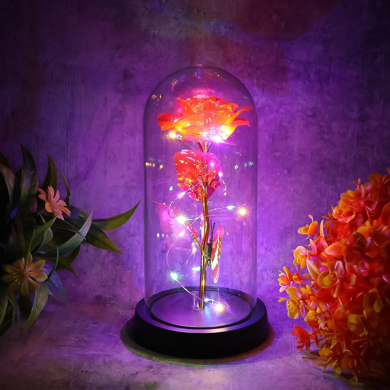 Elegant LED Eternal Rose in Plastic Dome (1 Pc / Battery Not included) Variety Bazaar