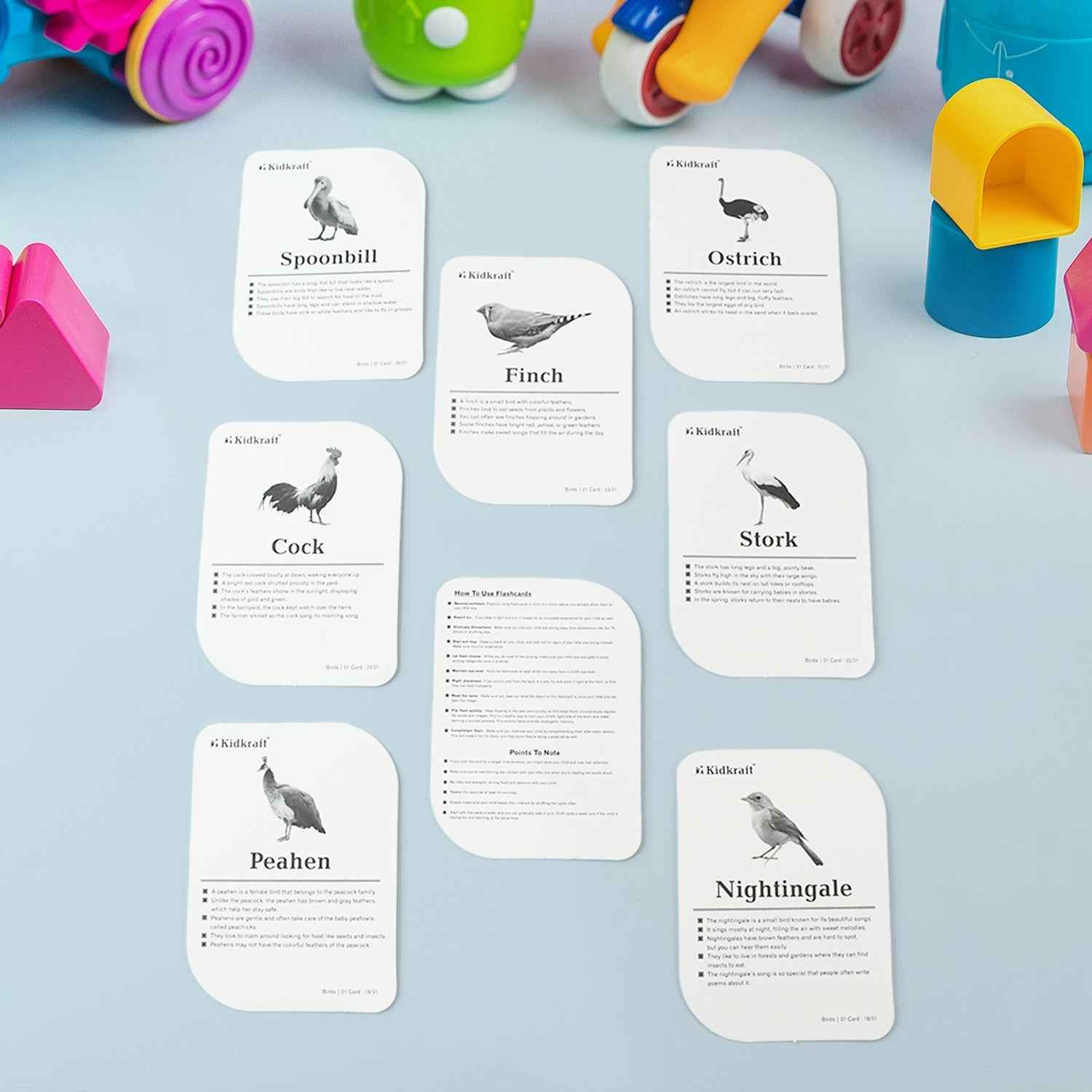 KidKraft Early Learner Educational Flashcards – 32 Birds