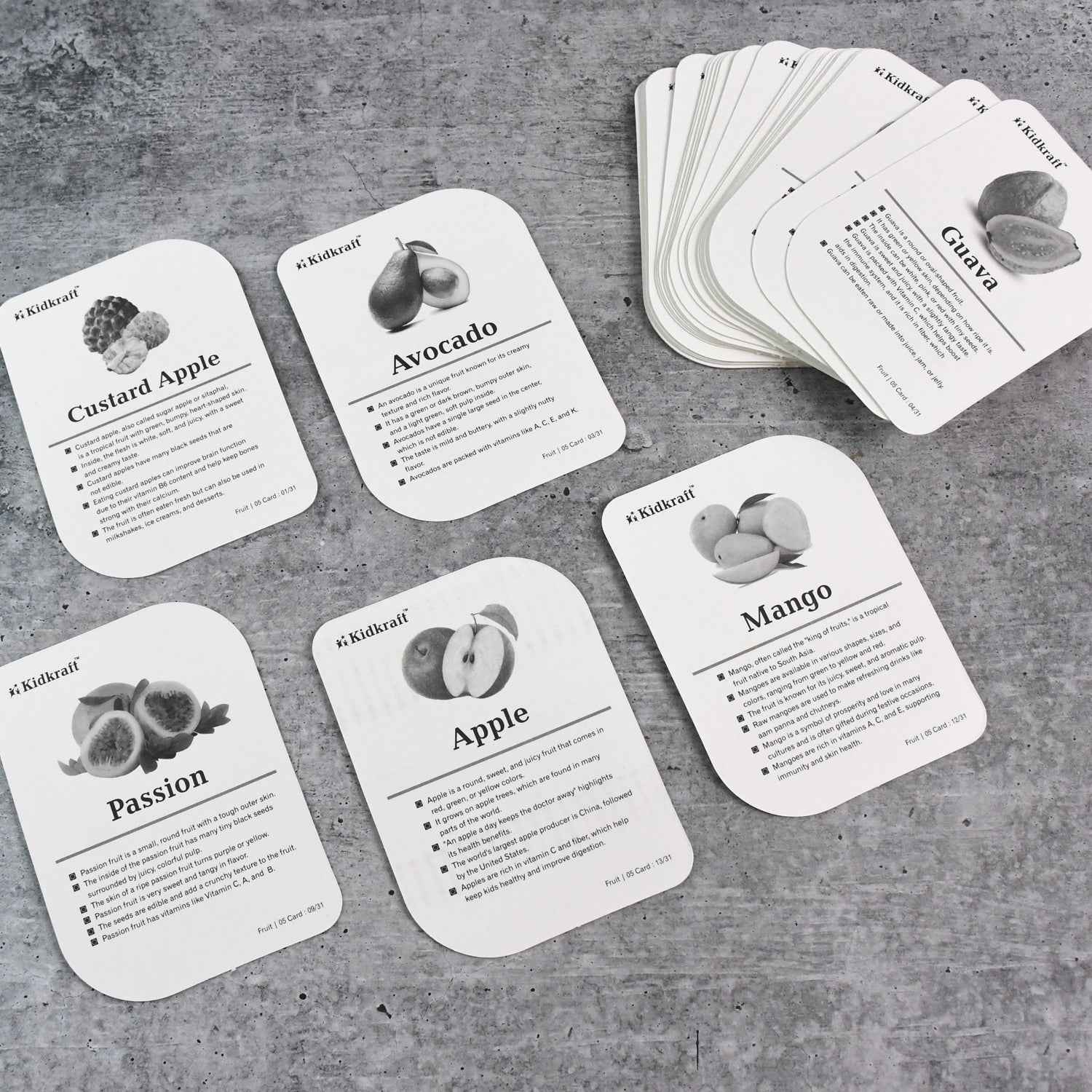 KidKraft Early Learner Educational Flashcards – 32 Birds