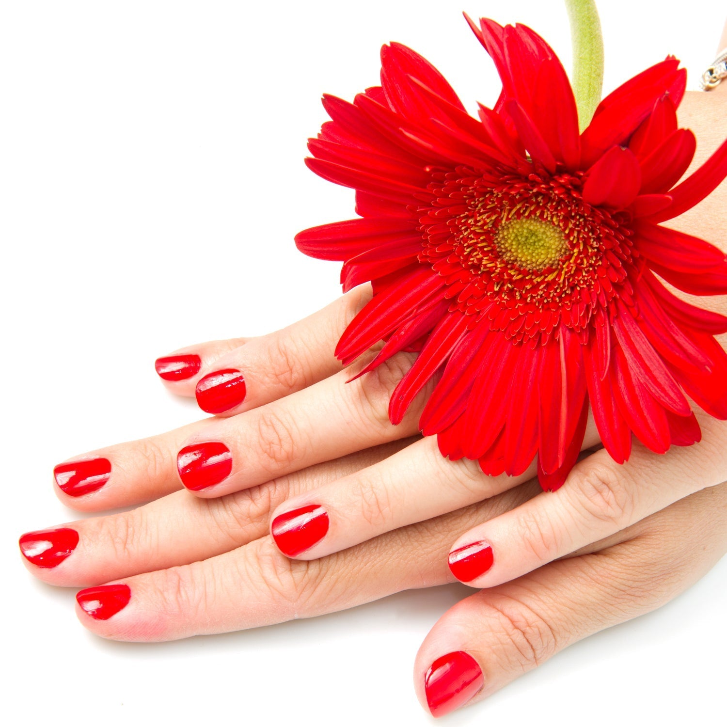 Stainless Steel Folding Portable Large Nail Clippers with Nail File (1 Pc / Mix Design) Variety Bazaar