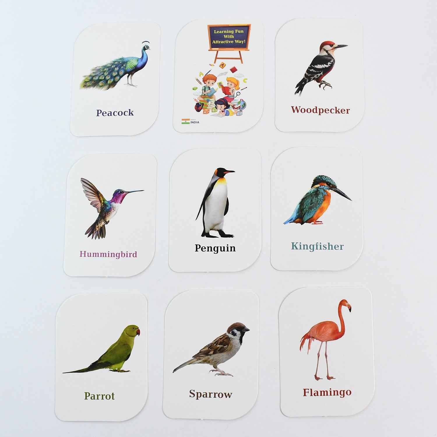 KidKraft Early Learner Educational Flashcards – 32 Birds