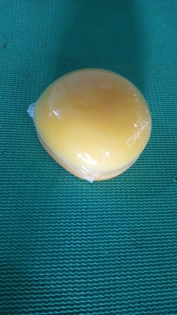 Burger Shaped Notepad / Sticky Notes / Memo Pads, Unique Mini Notes (Multicolor) travel sahayak