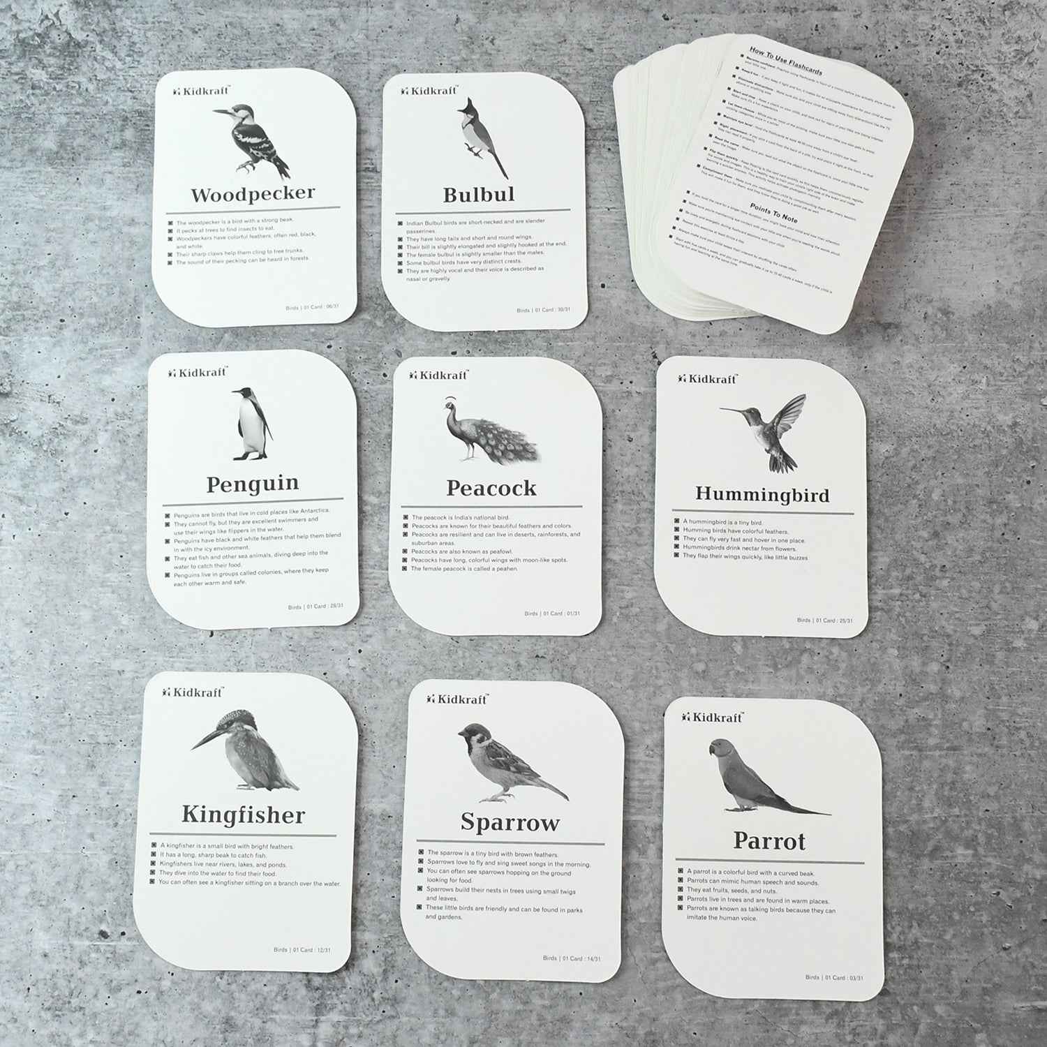 KidKraft Early Learner Educational Flashcards – 32 Birds