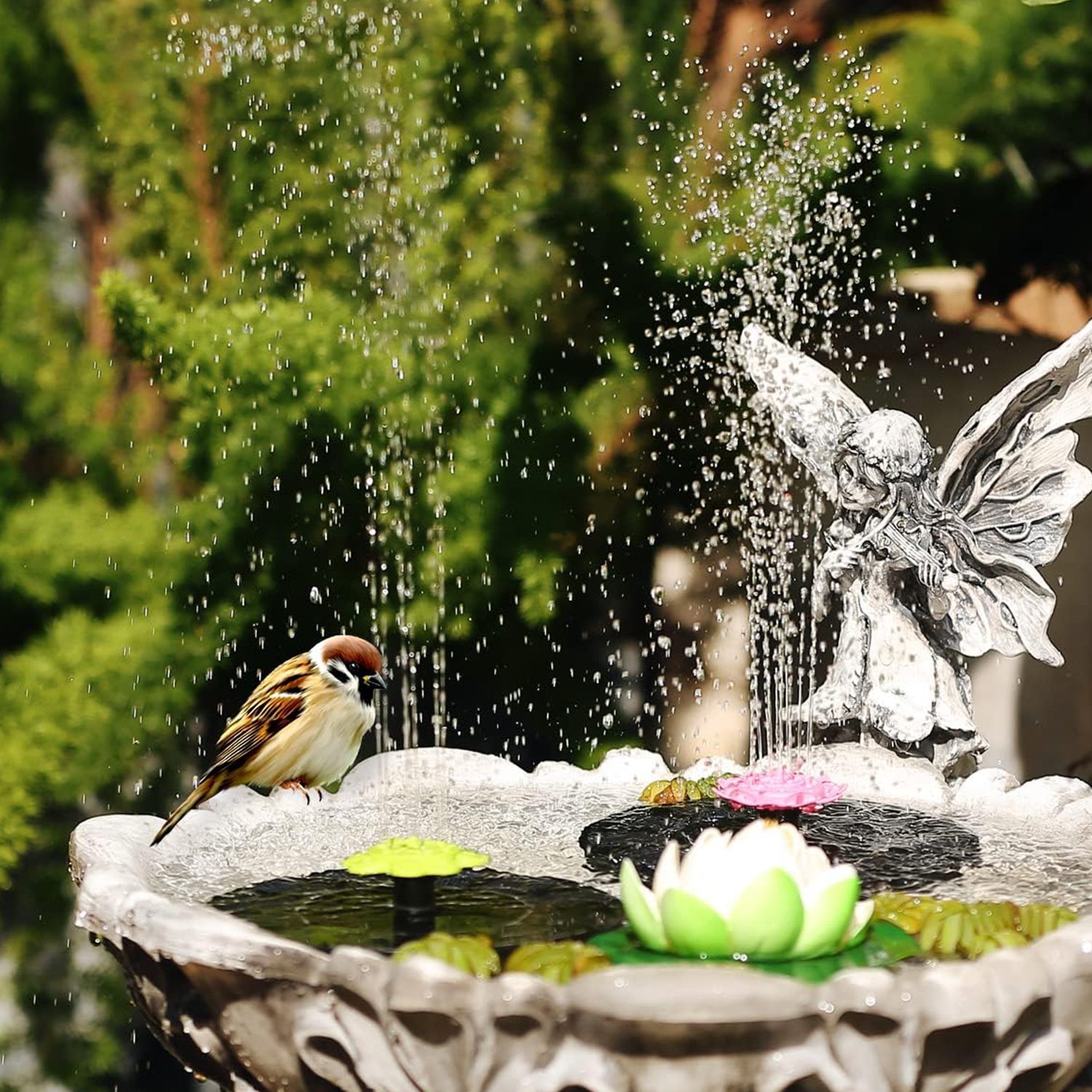 Solar Water Fountain Pump (1 Set) Variety Bazaar