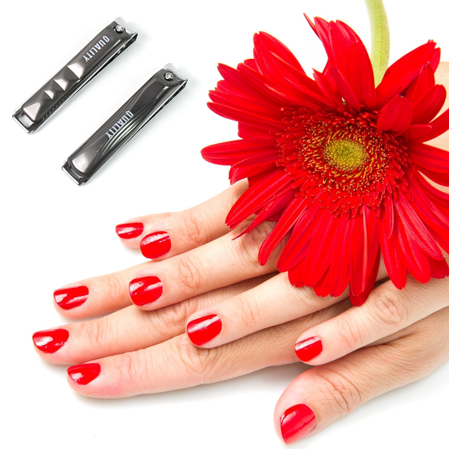 Stainless Steel Folding Portable Large Nail Clippers with Nail File (1 Pc) Variety Bazaar