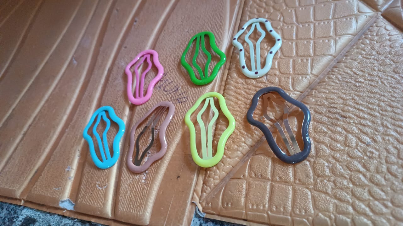 Hair Clips Multicolor Women Hair Accessorie (1 pc), Hair accessories Variety Bazaar