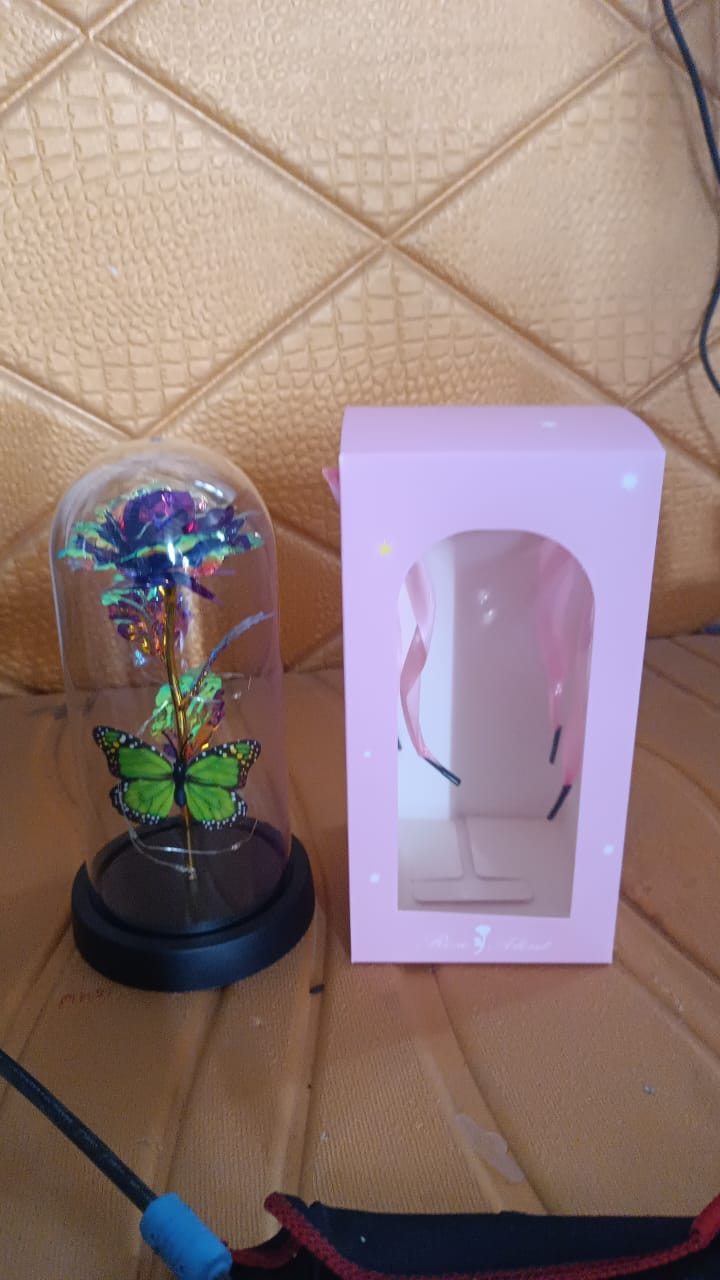 LED Preserved Rose with Colorful Butterfly in Plastic Dome (1 Pc & Mix Color) Variety Bazaar