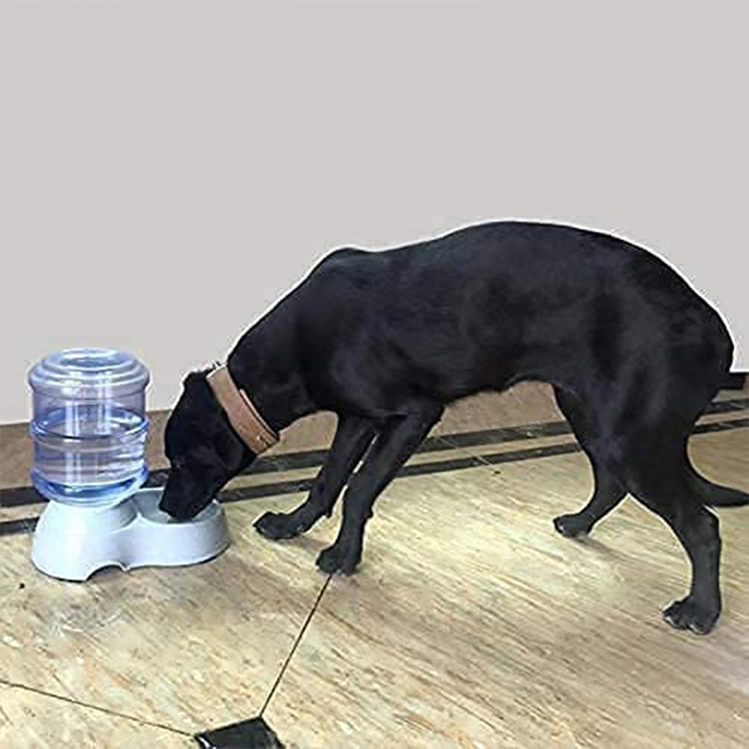 Automatic Pet Water Dispenser Self-Dispensing Gravity Pet Feeder Water Cat Dog Feeding Bowl Drinking Water & Pet Feeder Food Dispenser - Replenish Pet Food for Dog Cat Animal Automatic Gravity Dry Food Storage Bottle travel sahayak