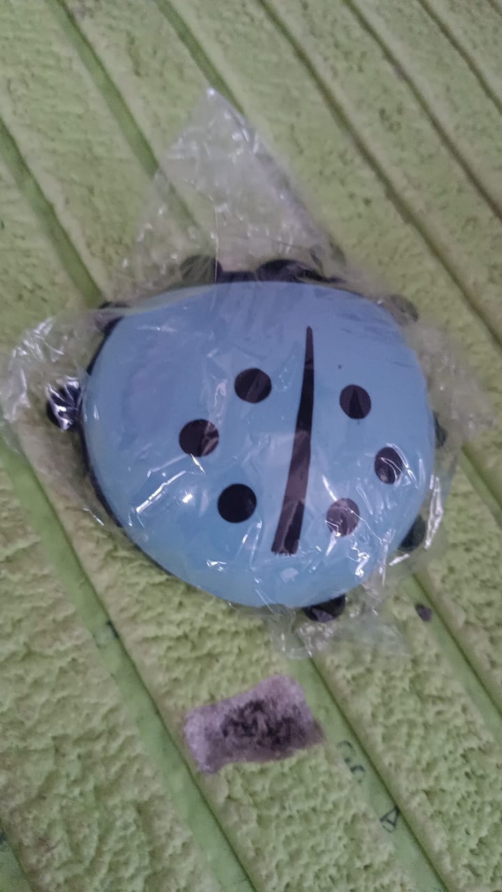 Ladybug Toothbrush Holder (1 Pc) Variety Bazaar