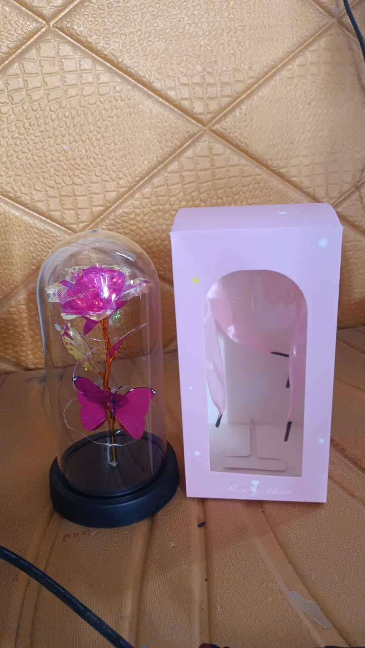 LED Decorative Rose with Butterfly in Transparent Plastic Dome (1 Pc / Battery Not Included) Variety Bazaar
