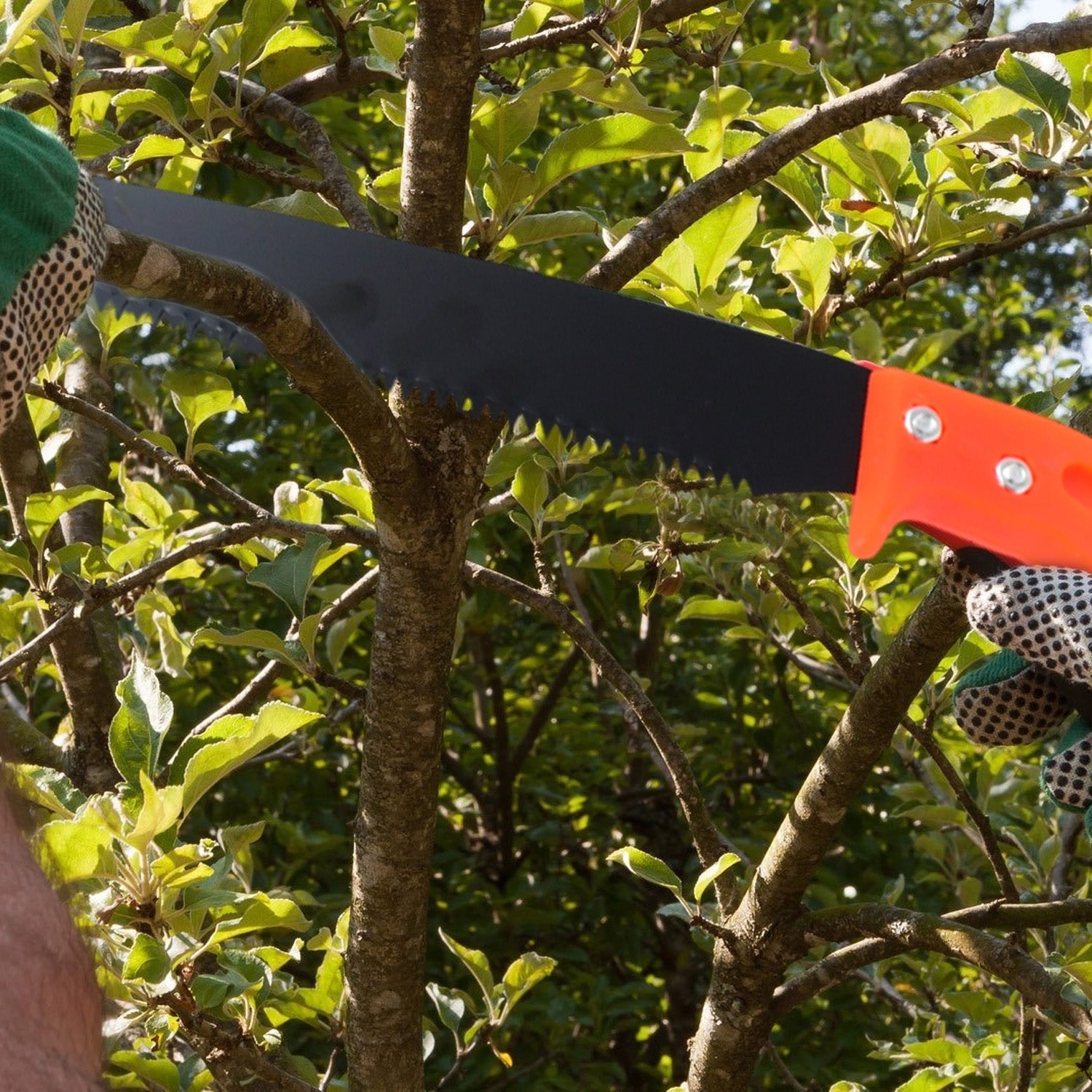 Hand Pruning Saw for Tree Branch Cutter (1 Pc) Variety Bazaar