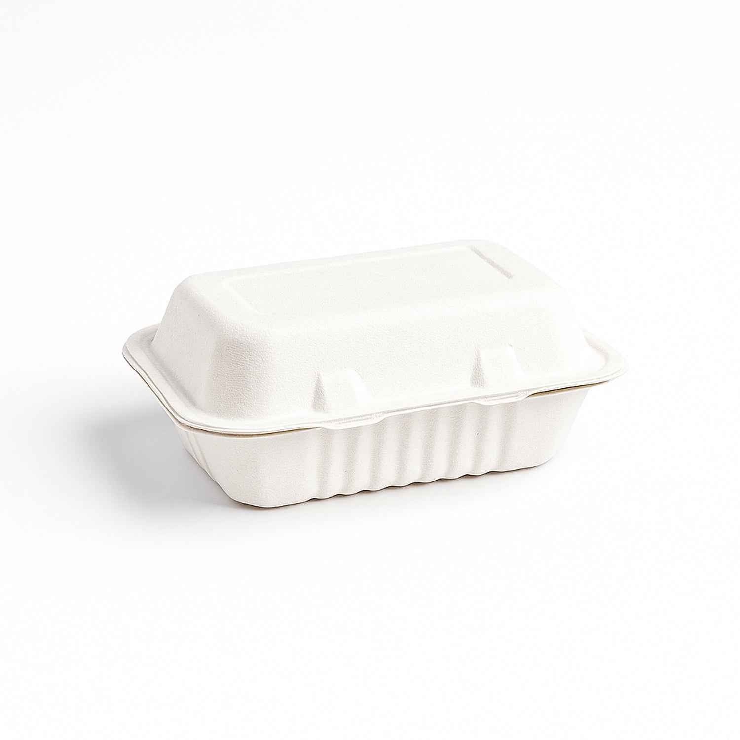 Fresheeclamshell Takeaway Compostable Bagasse Food Box 9x6x3 Inch 10 Pcs Pack