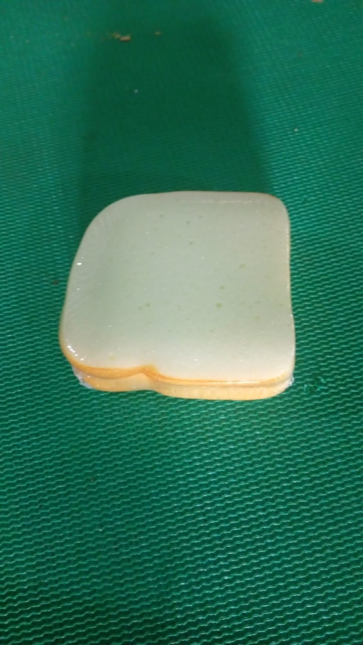 Sandwich Shaped Notepad / Sticky Notes / Memo Pads, Unique Mini Notes (Multicolor) travel sahayak