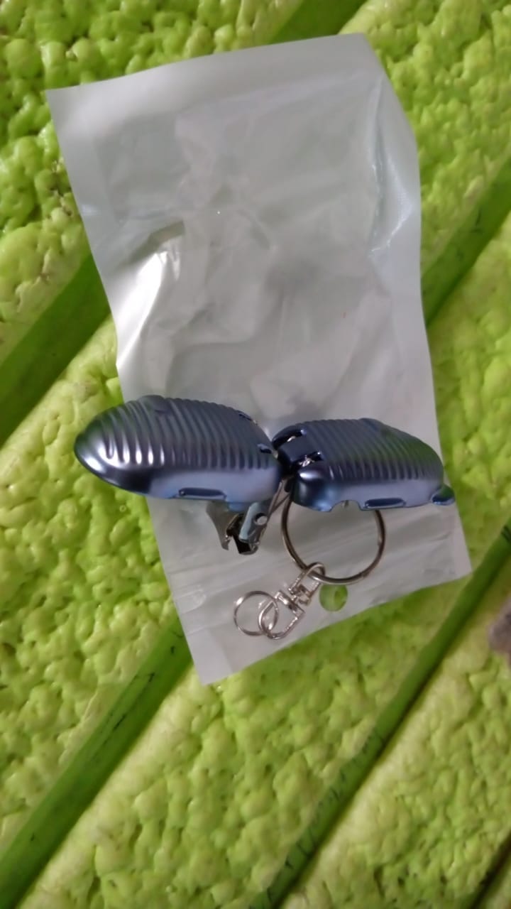 Keychain Nail Clipper | Small Nail Clippers Multicolor (1 Pc) Variety Bazaar