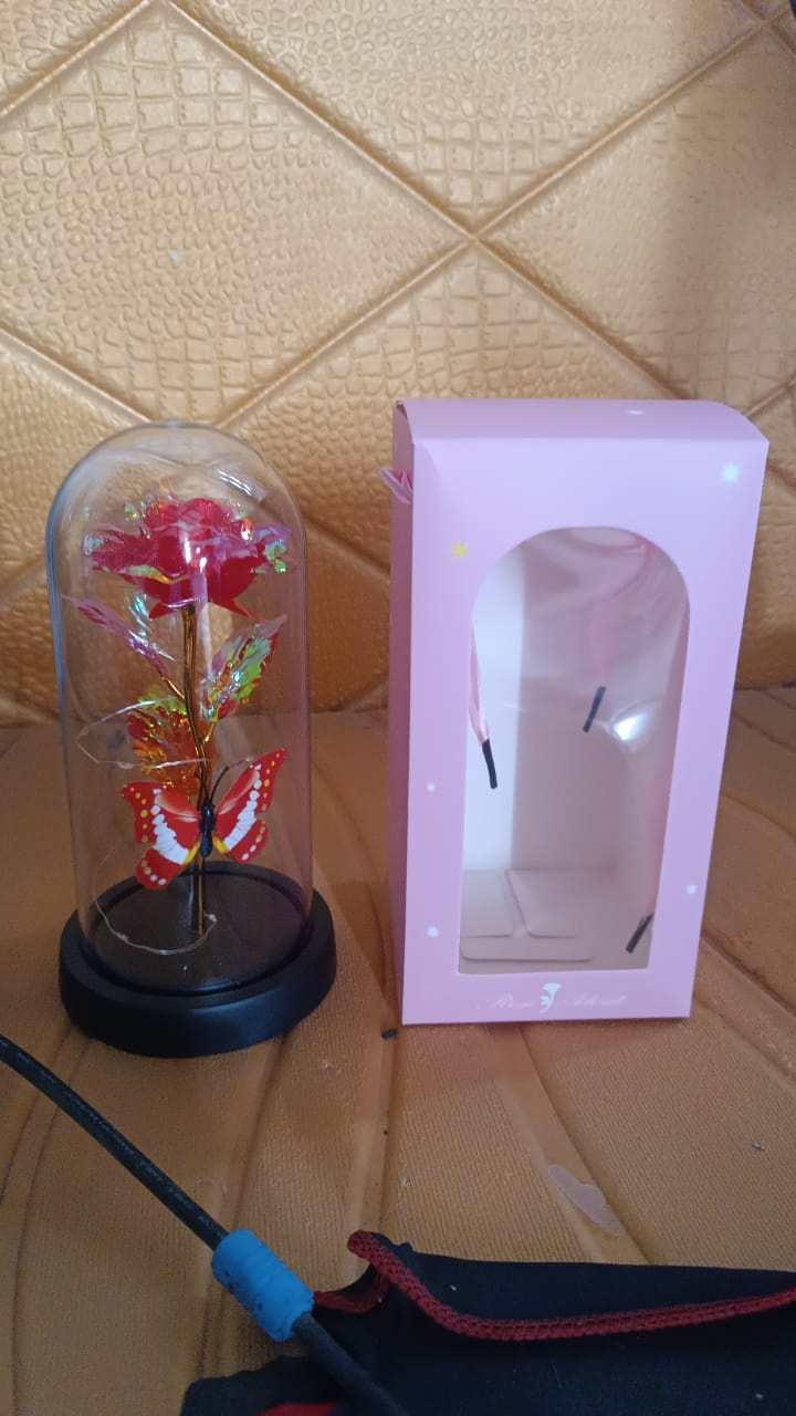 Elegant LED Eternal Rose in Plastic Dome (1 Pc / Battery Not included) Variety Bazaar