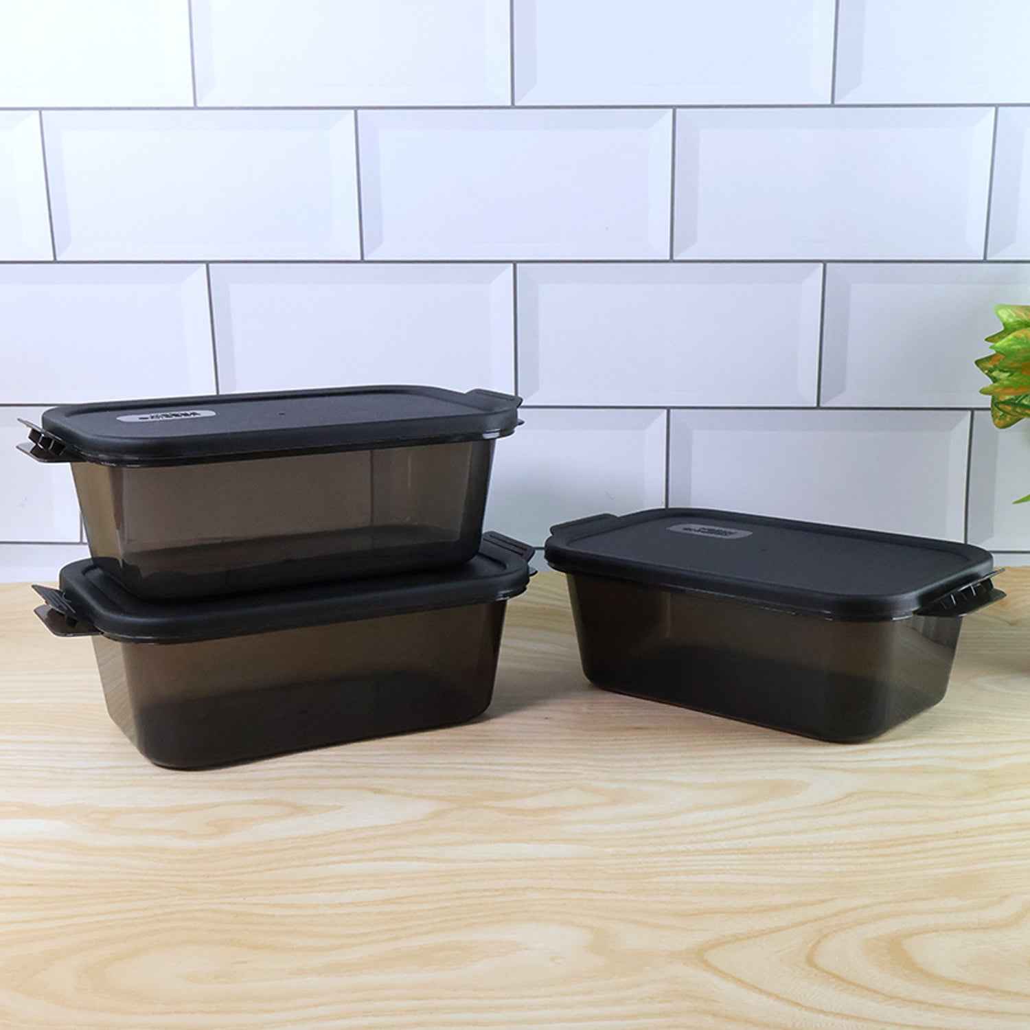 Rectangular Food Storage Containers - (3 Pc Set)