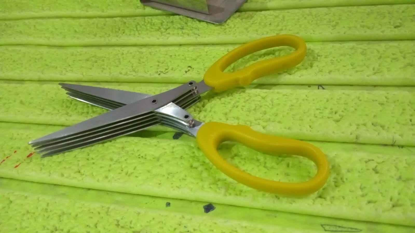 Multifunction Vegetable Stainless Steel Herbs Scissor With 5 Blades (1 Pc)