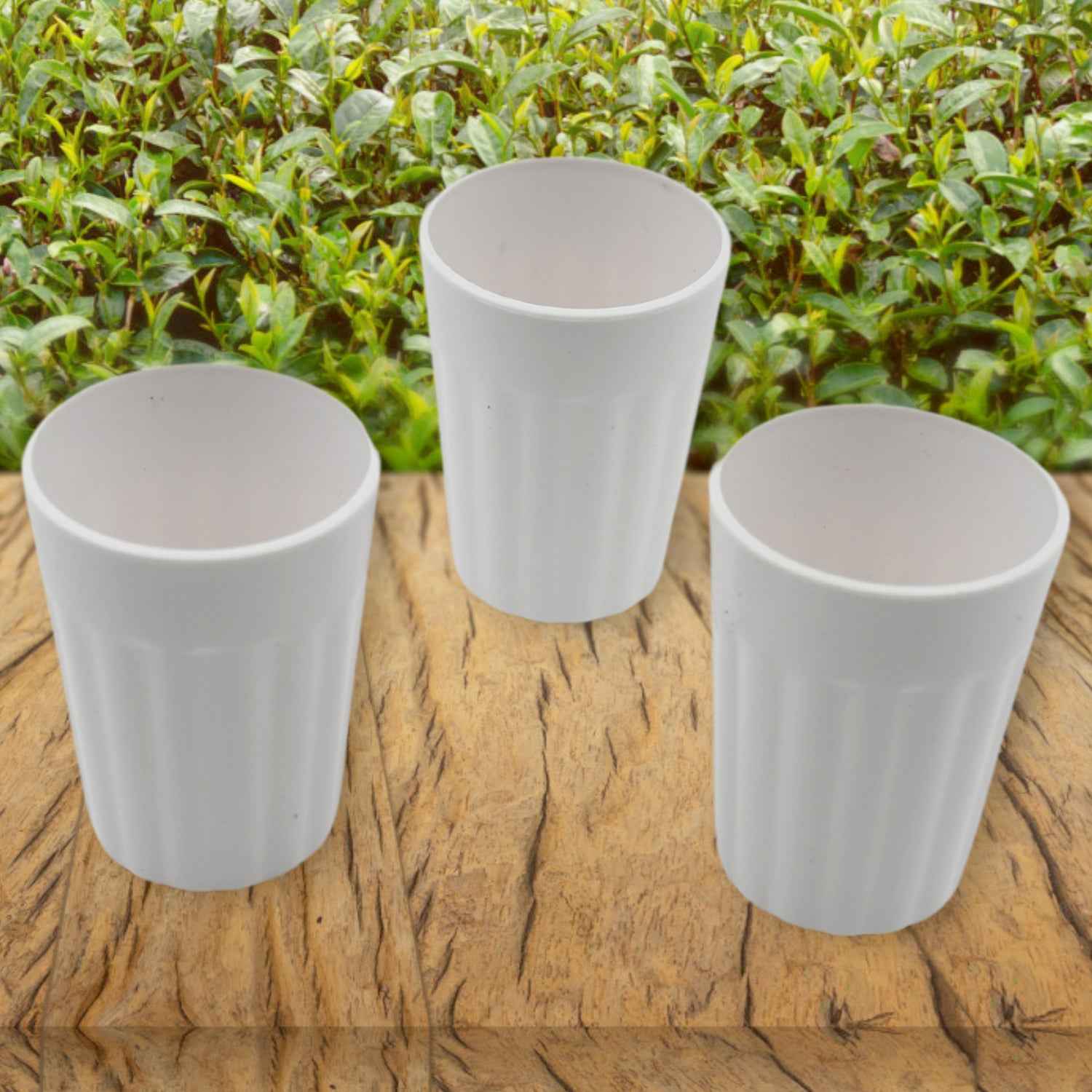 5719 Small Plastic Coffee Tea Cups Reusable Plastic Cup Mug Lightweight Microwavable Dishwasher Safe Unbreakable Camping Coffee Mugs For Tea Milk Water Juice Tea (3 Pcs Set)
