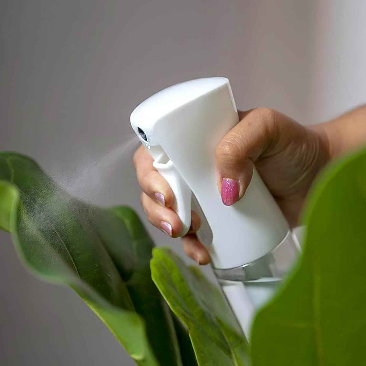 Plastic Oil Spray Bottle - Versatile Kitchen Gadgets (250 Ml Approx With White Box)