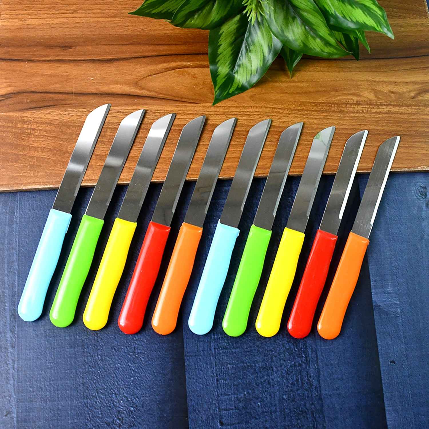 Premium Quality Stainless Steel Handle Plain Knife (10 Pc 1 Set)