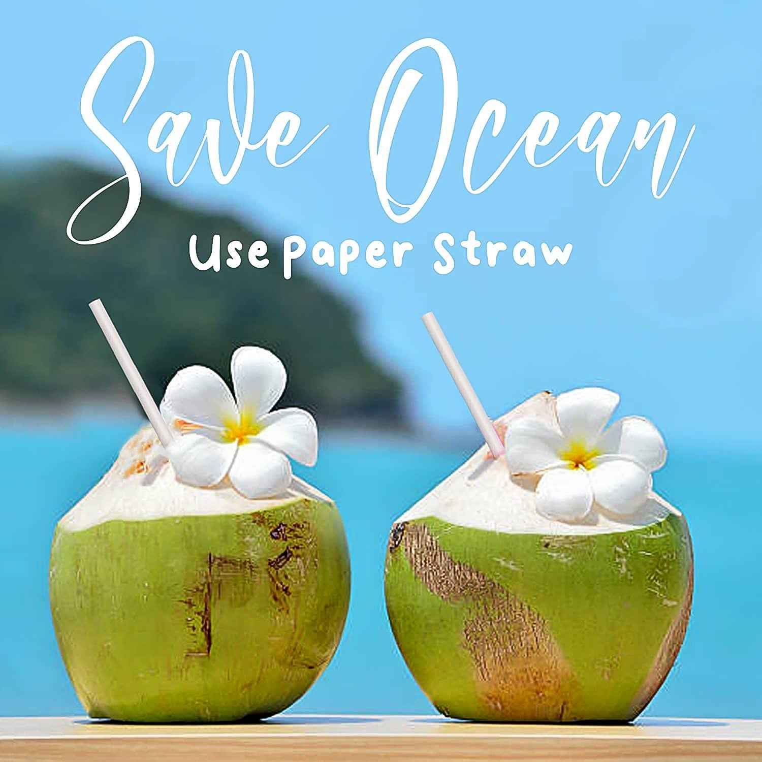 Paper Straw Plain 6 Mm Diameter 200 Mm Length 50 Pcs Pack