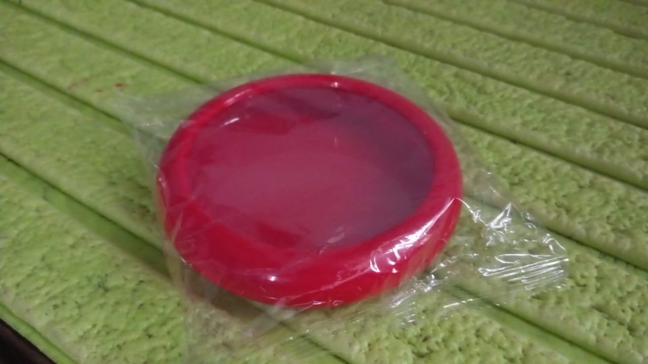 Vegetable Container Premium Fruits Saver Keeper for Kitchen Organization Variety Bazaar