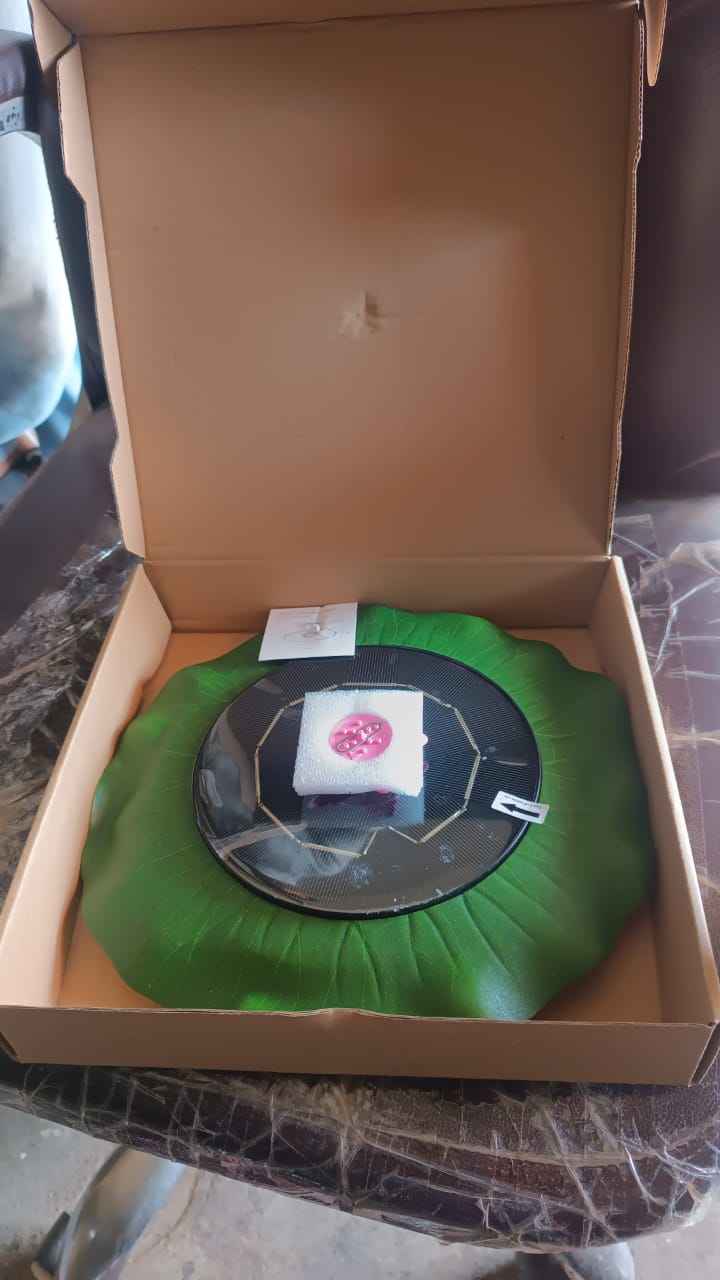 Decorative Solar-Powered Floating Water Fountain Pump