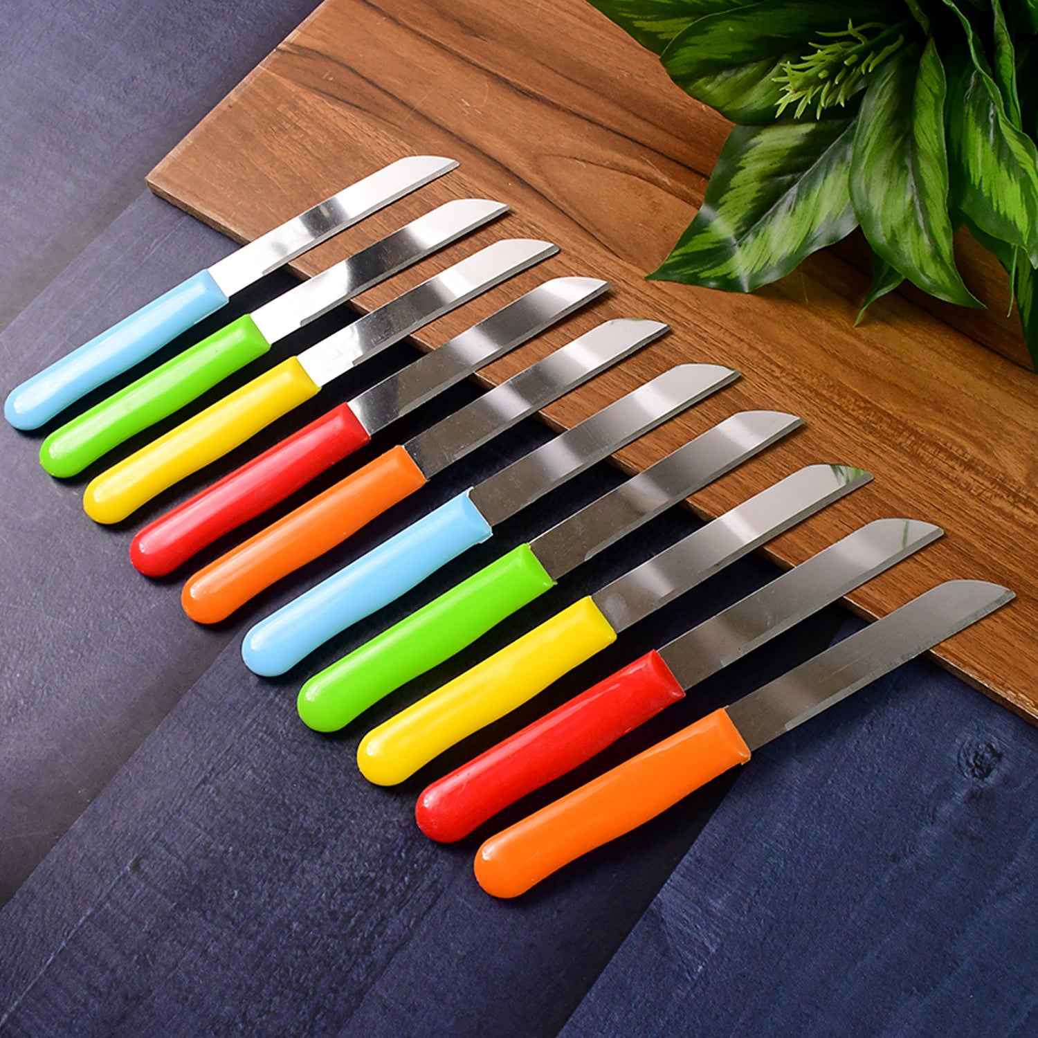 Premium Quality Stainless Steel Handle Plain Knife (10 Pc 1 Set)