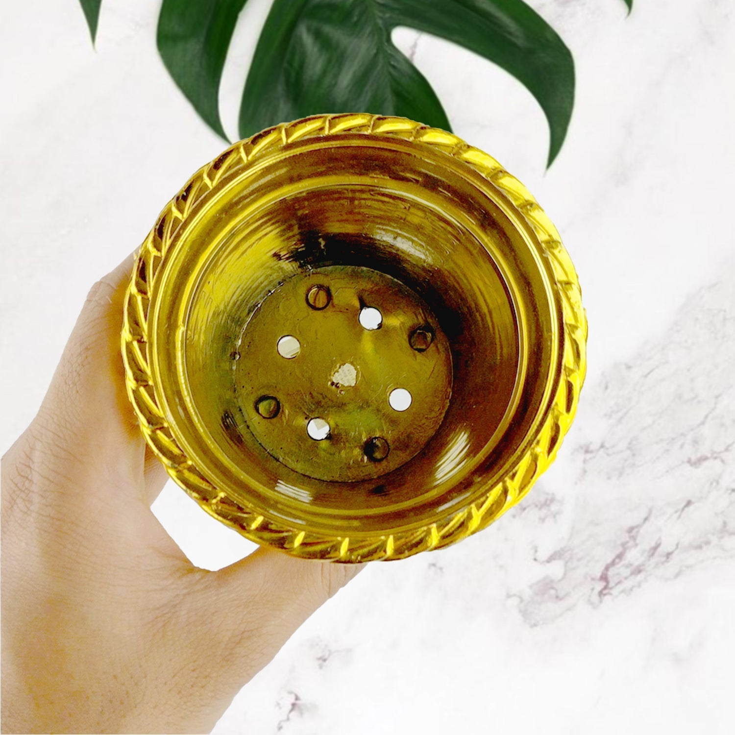 Plastic Flower Valencia (Pot) Home and Outdoor (1 Pc) Variety Bazaar