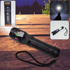 FlashCharge Pro