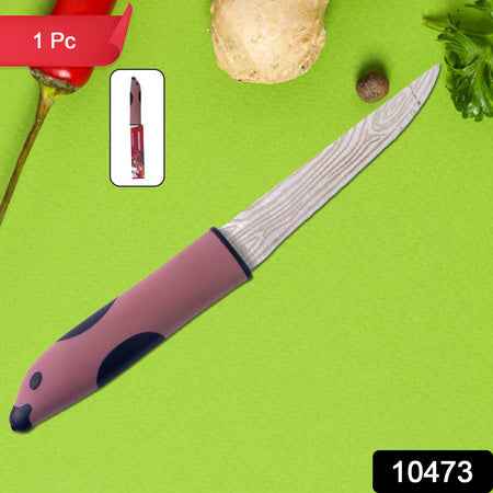 Multi-purpose Stainless Steel Kitchen Cutting Knife (1 Pc)