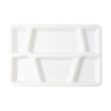 Plastic Multi-compartment Rectangular Meal Serving Tray  Plate (1 Pc  White)