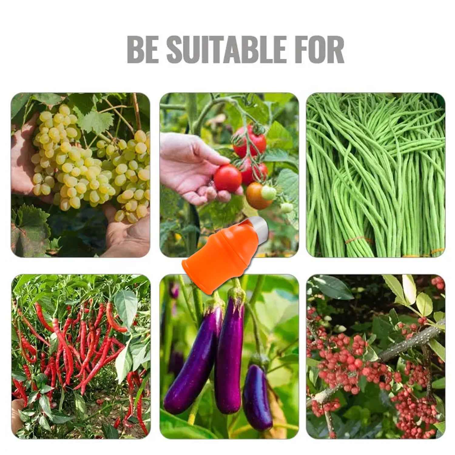 Thumb Knife Cutter With Silicone Finger Guard (1 Pc)