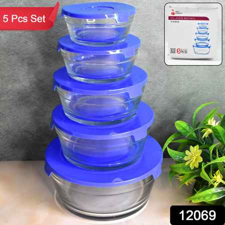 Modern Glass Bowl Set Mixing  Storage Bowls With Lids (5 Pcs Set)