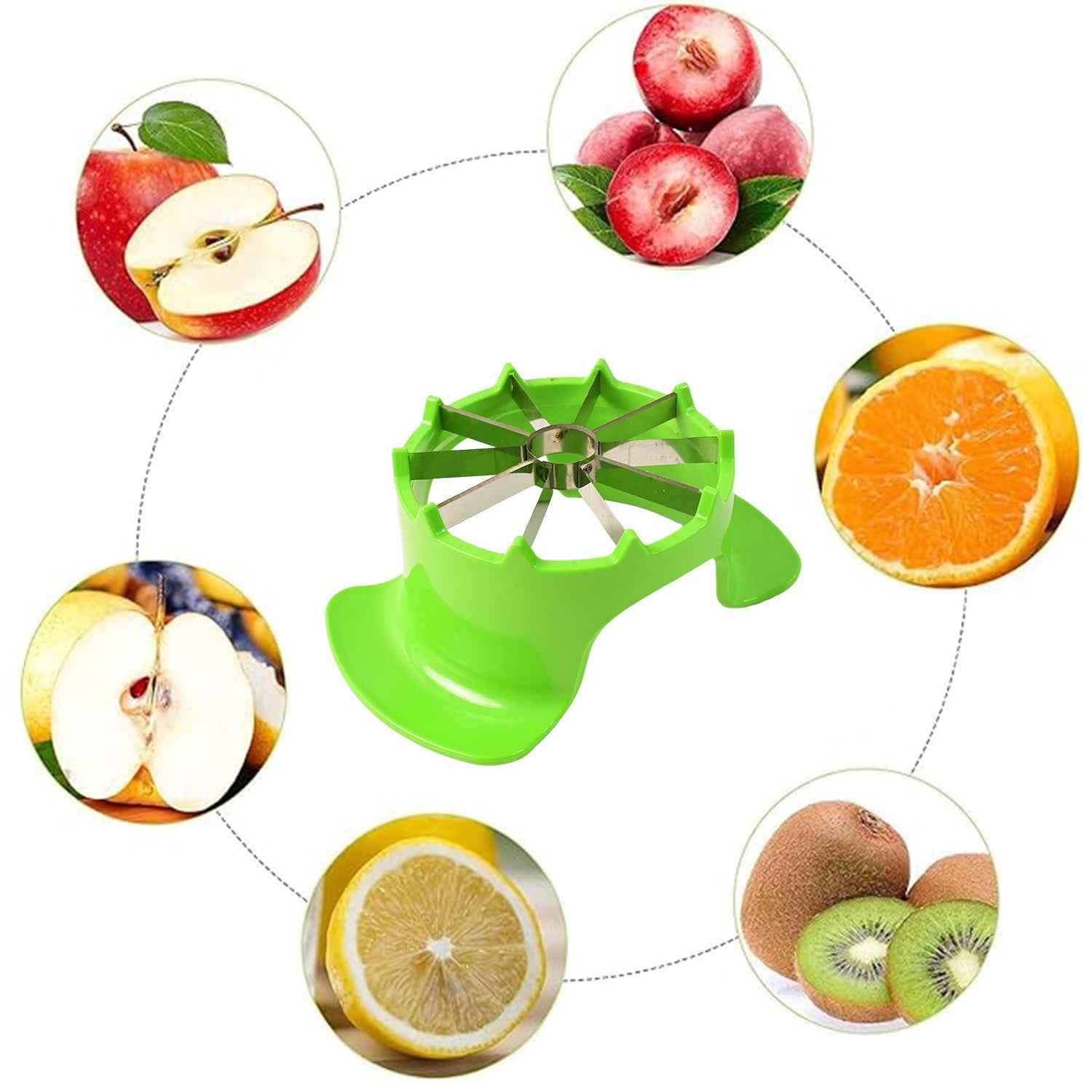 Apex Apple Cutter With Container  Unbreakable Abs Body  Stainless Steel Blades